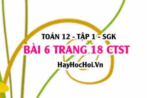 Bài 6 trang 18 Toán 12 tập 1 Chân trời sáng tạo